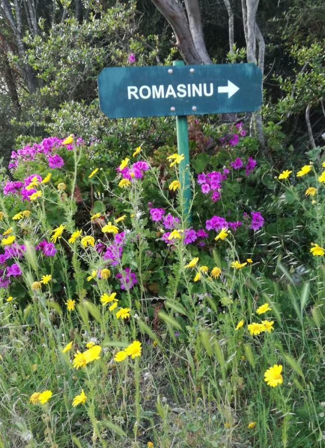 Domus De Janas Holiday home Costa Paradiso